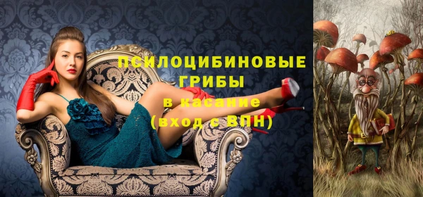 спайс Аркадак