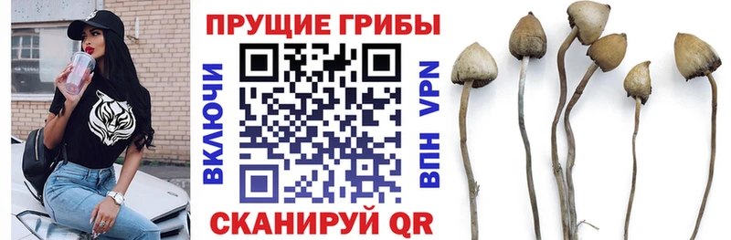 Псилоцибиновые грибы прущие грибы Камышлов
