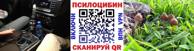 кракен как зайти  Камышлов  Галлюциногенные грибы мухоморы  что такое наркотик 